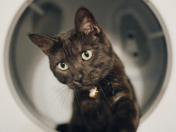 qijin-xu-vQUXUHjyy8A-unsplash